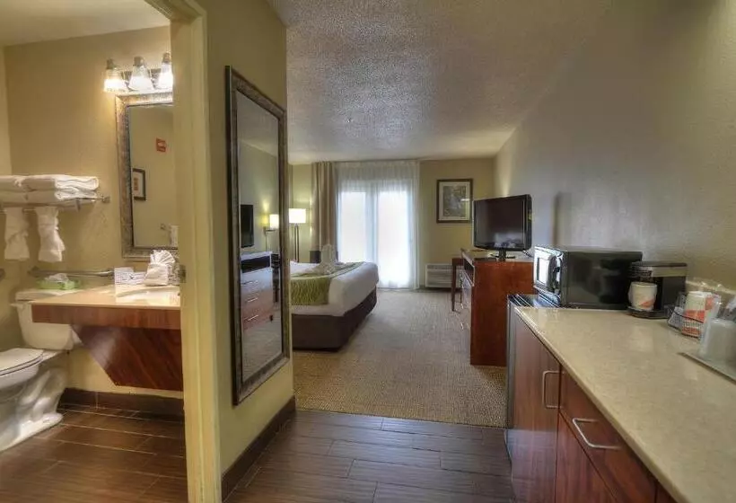 身障者適用キングサイズベッドルーム, Comfort Inn & Suites At Dollywood Lane