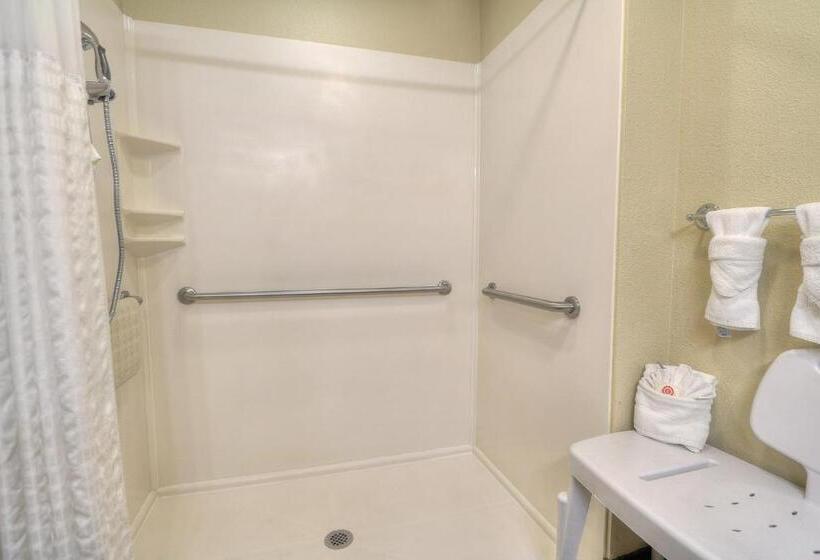 اتاق استاندارد با تخت بزرگ برای معلولان, Comfort Inn & Suites At Dollywood Lane