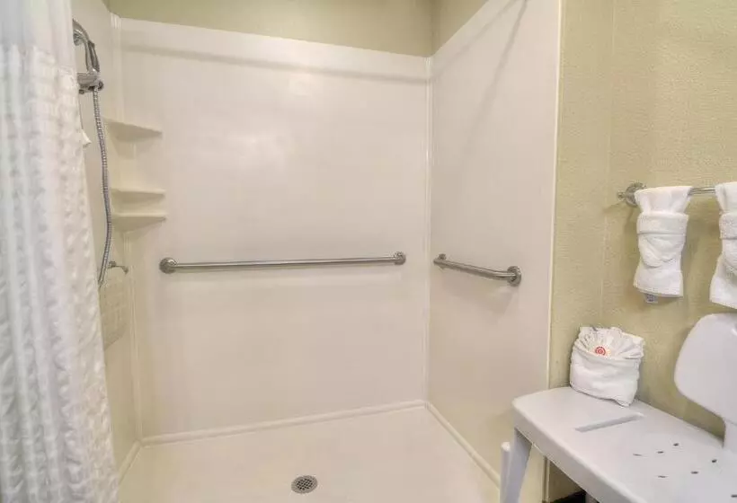 身障者適用キングサイズベッドルーム, Comfort Inn & Suites At Dollywood Lane