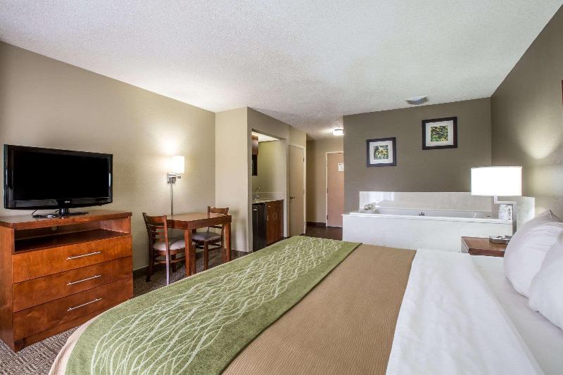 带大床的标准间, Comfort Inn & Suites At Dollywood Lane