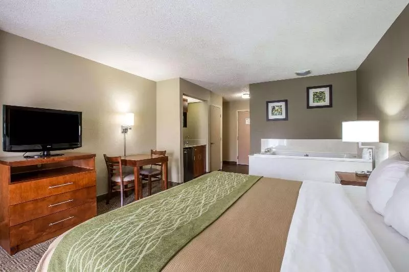 キングサイズベッドのスタンダードルーム, Comfort Inn & Suites At Dollywood Lane