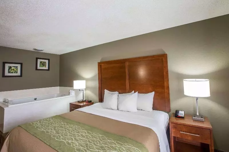 キングサイズベッドのスタンダードルーム, Comfort Inn & Suites At Dollywood Lane