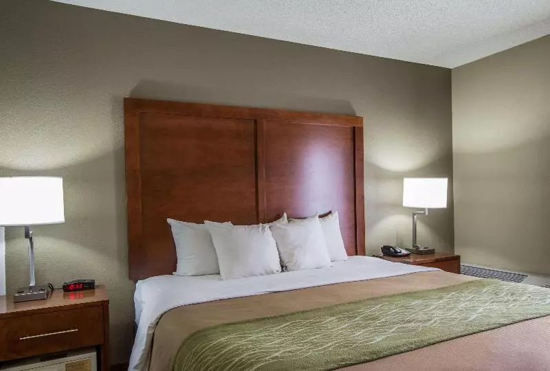 キングサイズベッドのスタンダードルーム, Comfort Inn & Suites At Dollywood Lane