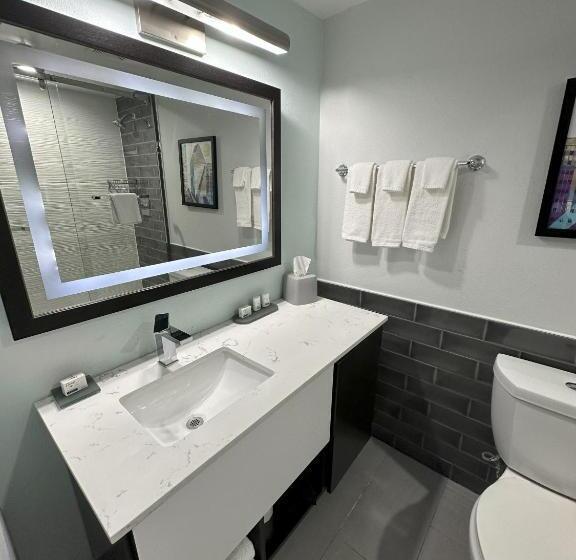 标准间, Holiday Inn Express   Dallas Downtown, An Ihg