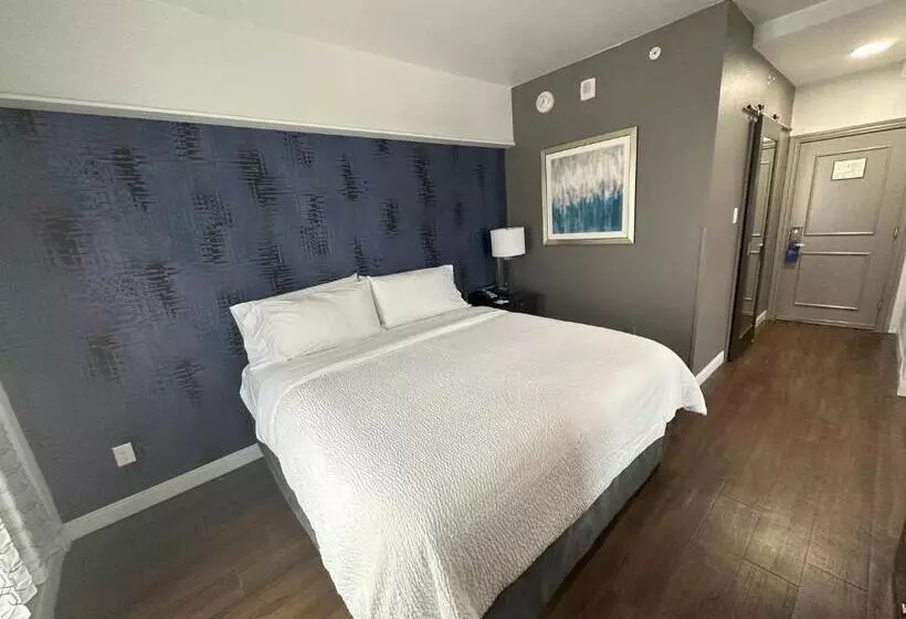 キングサイズベッドのスタンダードルーム, Holiday Inn Express   Dallas Downtown, An Ihg