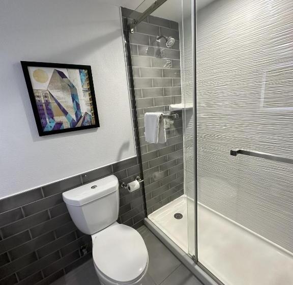 带大床的标准间, Holiday Inn Express   Dallas Downtown, An Ihg