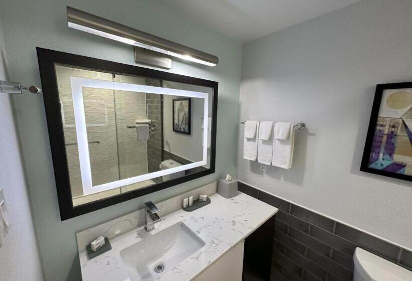 带大床的标准间, Holiday Inn Express   Dallas Downtown, An Ihg