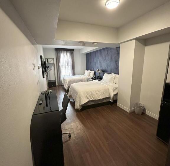带2个双人床的标准工作室, Holiday Inn Express   Dallas Downtown, An Ihg