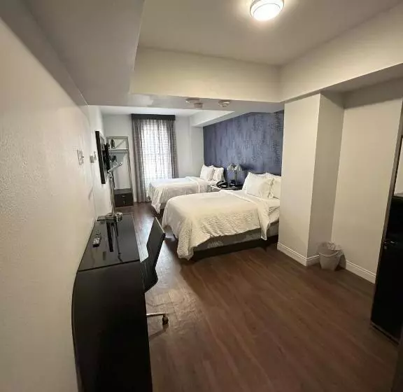 ２ダブルベッドのスタンダードルーム, Holiday Inn Express   Dallas Downtown, An Ihg