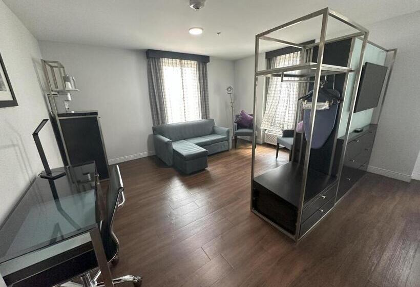 带大床的套房, Holiday Inn Express   Dallas Downtown, An Ihg