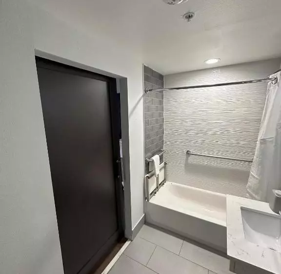 身障者適用スタンダードルーム, Holiday Inn Express   Dallas Downtown, An Ihg