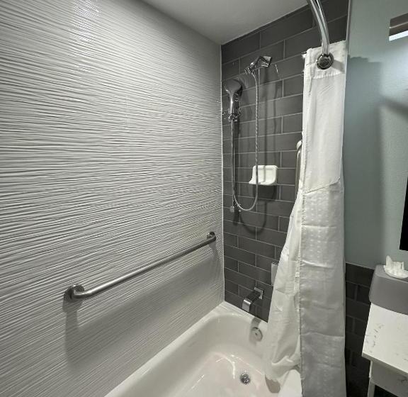 适合残疾人使用的标准间, Holiday Inn Express   Dallas Downtown, An Ihg