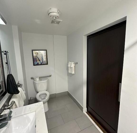 장애인을 위한 스탠다드 룸, Holiday Inn Express   Dallas Downtown, An Ihg