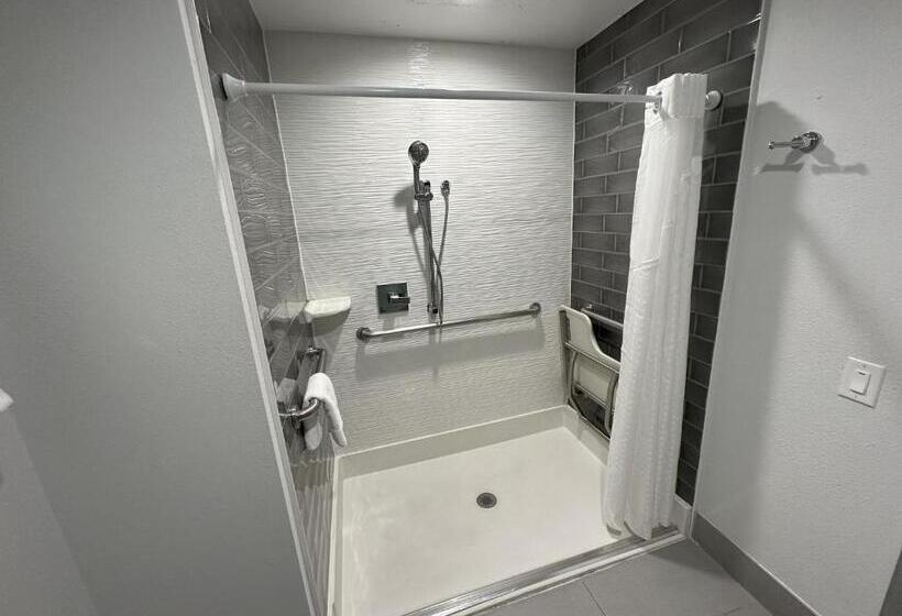 适合残疾人使用的标准间, Holiday Inn Express   Dallas Downtown, An Ihg