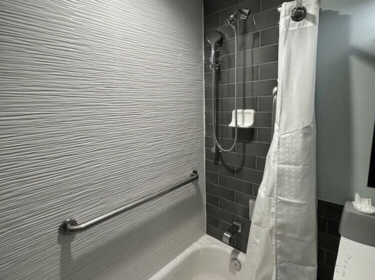 标准间, Holiday Inn Express   Dallas Downtown, An Ihg