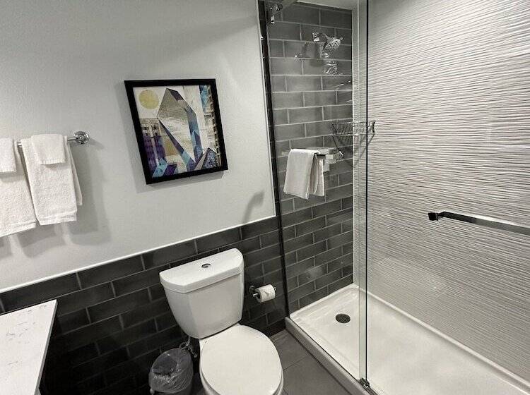 标准间, Holiday Inn Express   Dallas Downtown, An Ihg