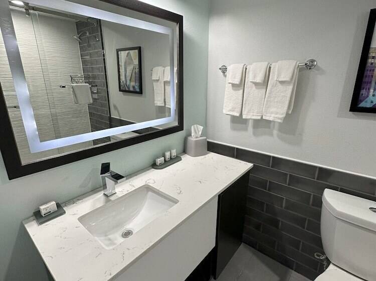 스탠다드 룸, Holiday Inn Express   Dallas Downtown, An Ihg