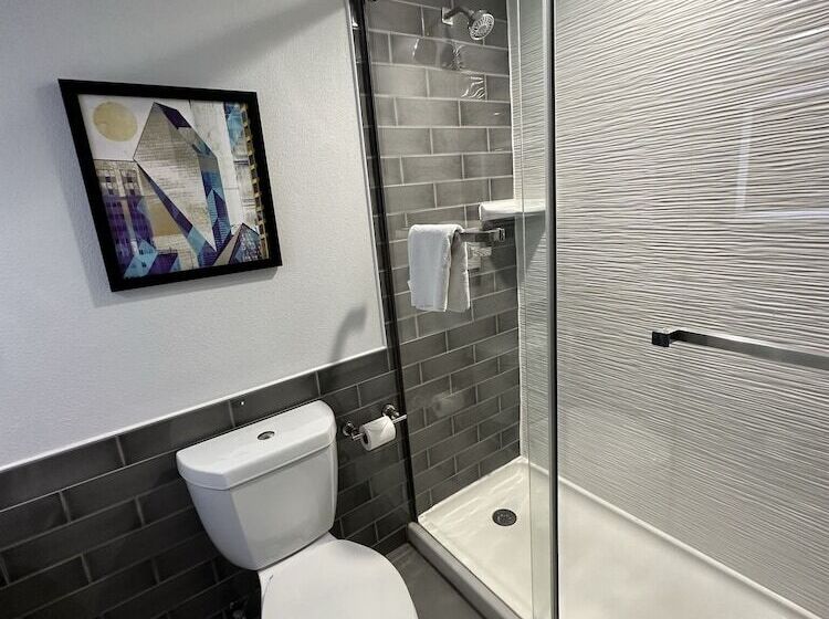 带2个双人床的标准工作室, Holiday Inn Express   Dallas Downtown, An Ihg