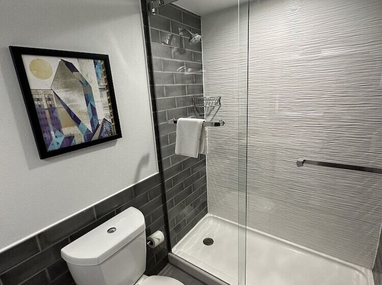 스탠다드 룸 더블 침대 2개, Holiday Inn Express   Dallas Downtown, An Ihg