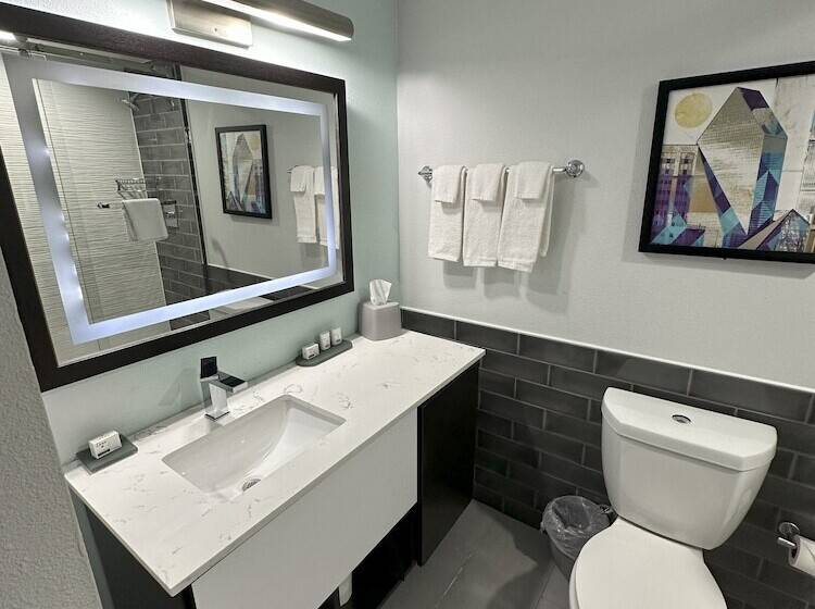 带2个双人床的标准工作室, Holiday Inn Express   Dallas Downtown, An Ihg