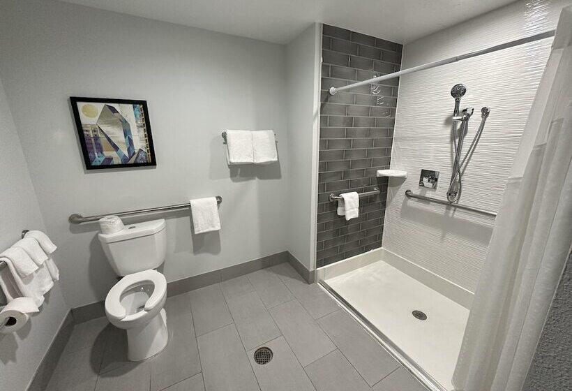 带2个双人床的标准工作室, Holiday Inn Express   Dallas Downtown, An Ihg