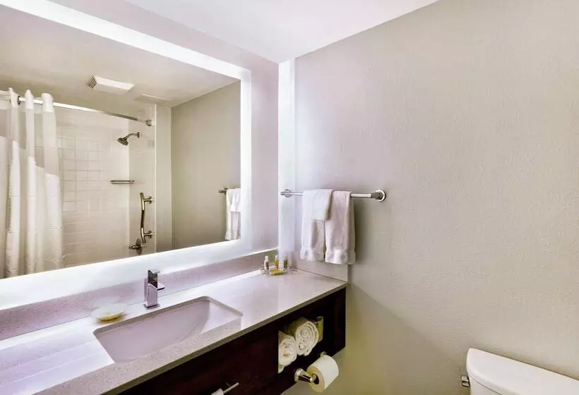 ２ダブルベッドのスタンダードルーム, Holiday Inn Miami West Airport Area, An Ihg