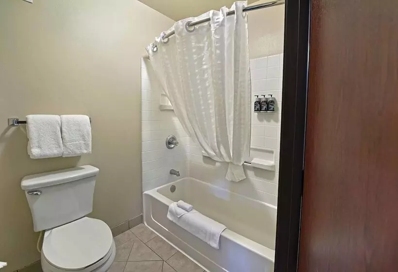 クイーンサイズベッドのスイートルーム, Oxford Suites Yakima