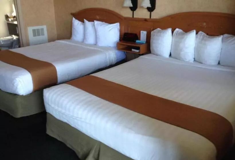 اتاق سوپریور چهار تخته, Pepper Tree Inn Tahoe City