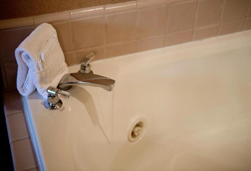 キングサイズベッドのデラックススイート, Pine Ridge Inn