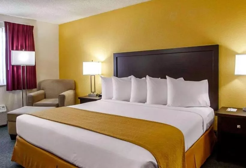 キングサイズベッドのスタンダードルーム, Quality Inn & Suites