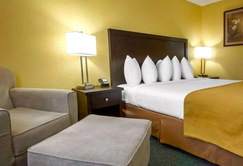 キングサイズベッドのスタンダードルーム, Quality Inn & Suites