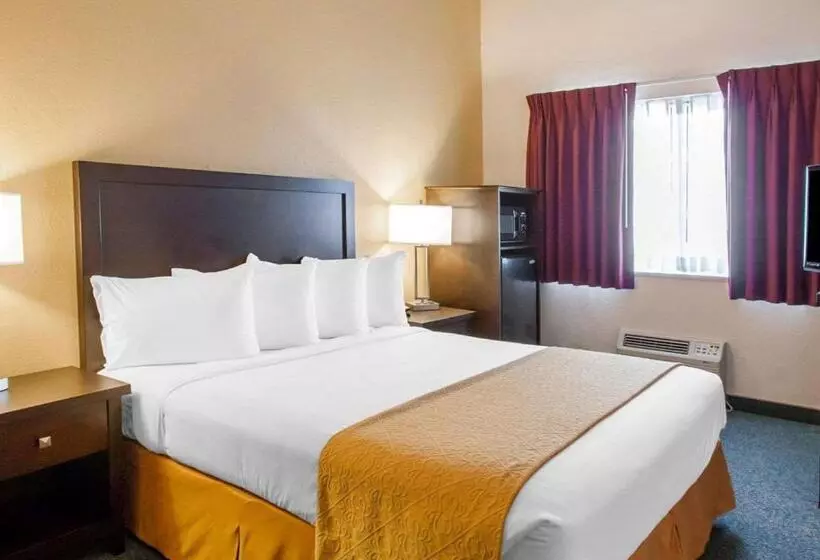 スタンダードルーム, Quality Inn & Suites