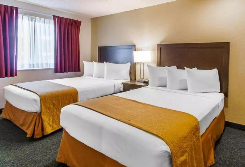 スイート（家族用）, Quality Inn & Suites