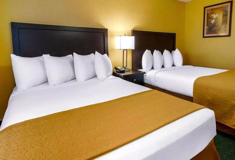 身障者適用スタンダードルーム, Quality Inn & Suites