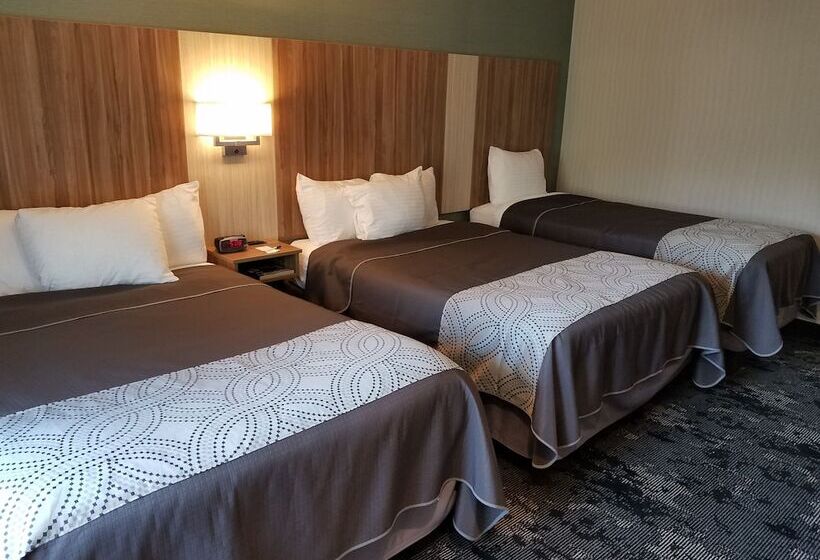 Семейный Номер, Aartpark Hotel Inn At Lewsiton