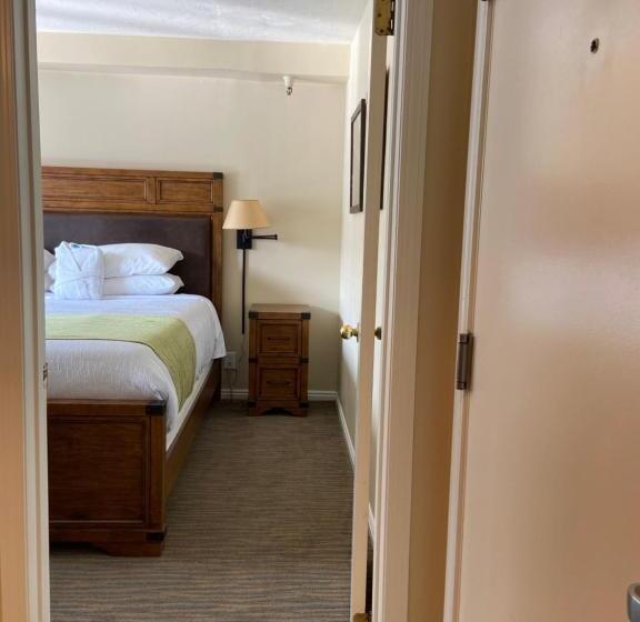 Апартаменты Deluxe 1 Спальня, Park Regency Resort