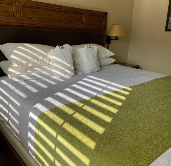 Апартаменты Deluxe 1 Спальня, Park Regency Resort