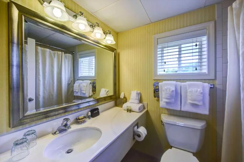 اتاق استاندارد با تخت بزرگ, Port Inn And Suites Portsmouth, Ascend Hotel Collection