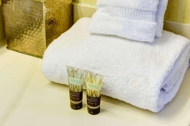Cameră Standard Pat King Size, Port Inn And Suites Portsmouth, Ascend Hotel Collection