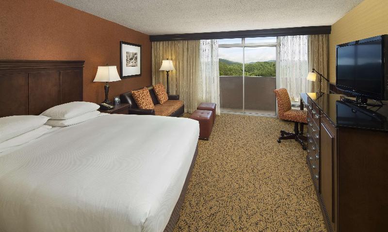 Pokój Standard Łóżko King Size, The Park Vista   A Doubletree By Hilton Hotel   Gatlinburg