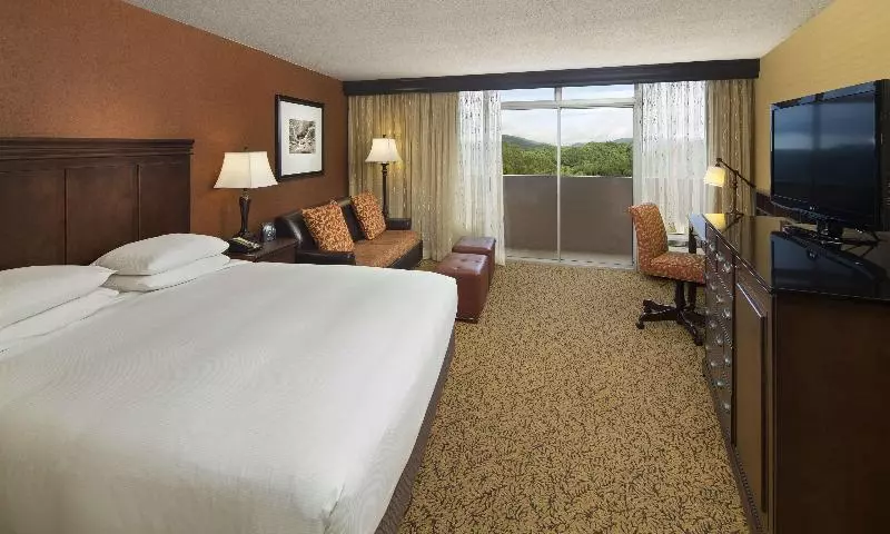 اتاق استاندارد با تخت بزرگ, The Park Vista A Doubletree By Hilton Hotel Gatlinburg