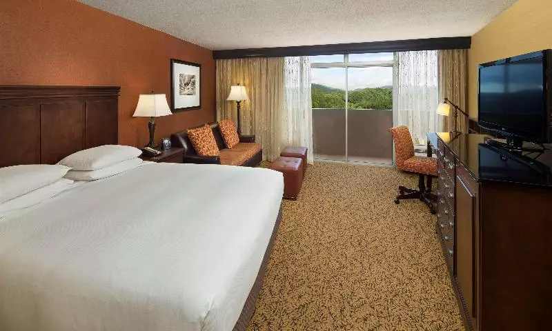 اتاق استاندارد با تخت بزرگ, The Park Vista A Doubletree By Hilton Hotel Gatlinburg
