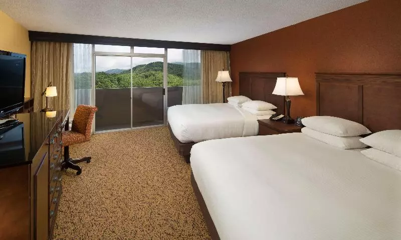 اتاق استاندارد با تخت بزرگ, The Park Vista A Doubletree By Hilton Hotel Gatlinburg