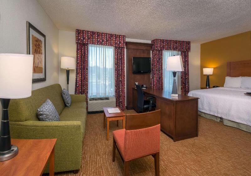 Pokój Typu Standard Łóżko King Przystosowany dla Osób Niepełnosprawnych, The Park Vista   A Doubletree By Hilton Hotel   Gatlinburg