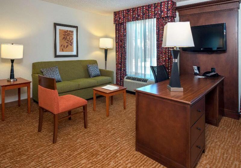 身障者適用キングサイズベッドルーム, The Park Vista A Doubletree By Hilton Hotel Gatlinburg