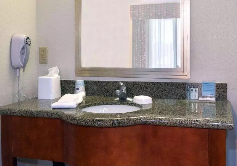 اتاق استاندارد با تخت بزرگ برای معلولان, The Park Vista A Doubletree By Hilton Hotel Gatlinburg