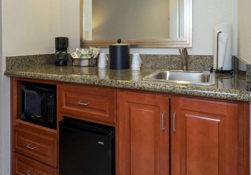 身障者適用キングサイズベッドルーム, The Park Vista A Doubletree By Hilton Hotel Gatlinburg