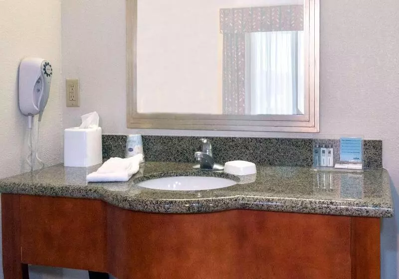 اتاق استاندارد با تخت بزرگ برای معلولان, The Park Vista A Doubletree By Hilton Hotel Gatlinburg