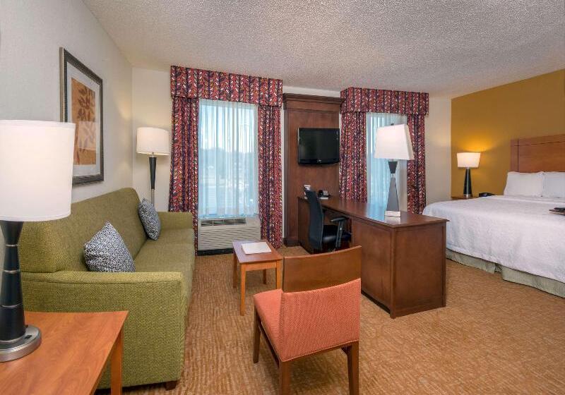 身障者適用キングサイズベッドルーム, The Park Vista A Doubletree By Hilton Hotel Gatlinburg