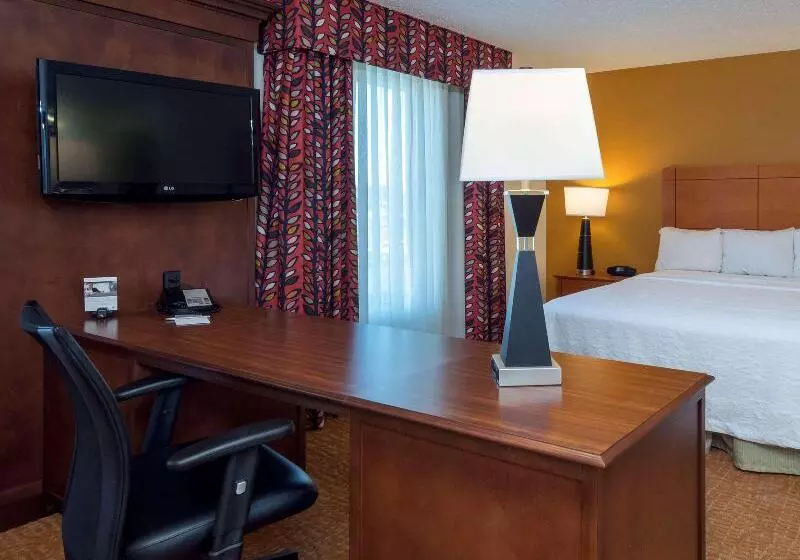 اتاق استاندارد با تخت بزرگ برای معلولان, The Park Vista A Doubletree By Hilton Hotel Gatlinburg